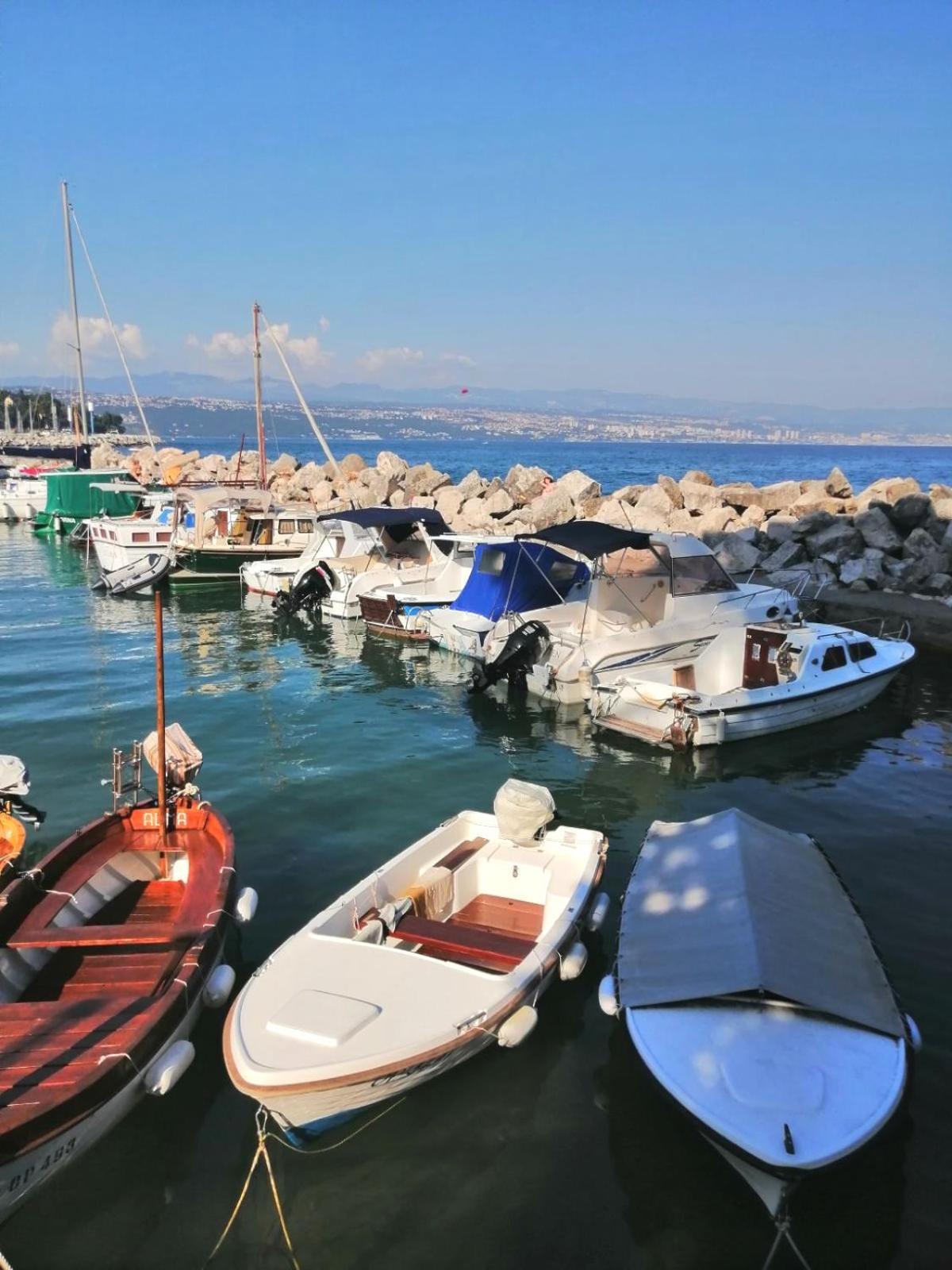 Cozy Apartment Bosnjak Near Opatija, With Sea View Terrace, Air Condition, Free Private Parking Ičići Esterno foto
